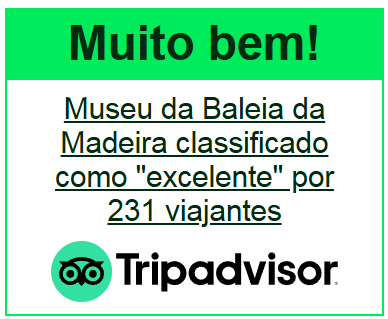 Muito bem trip