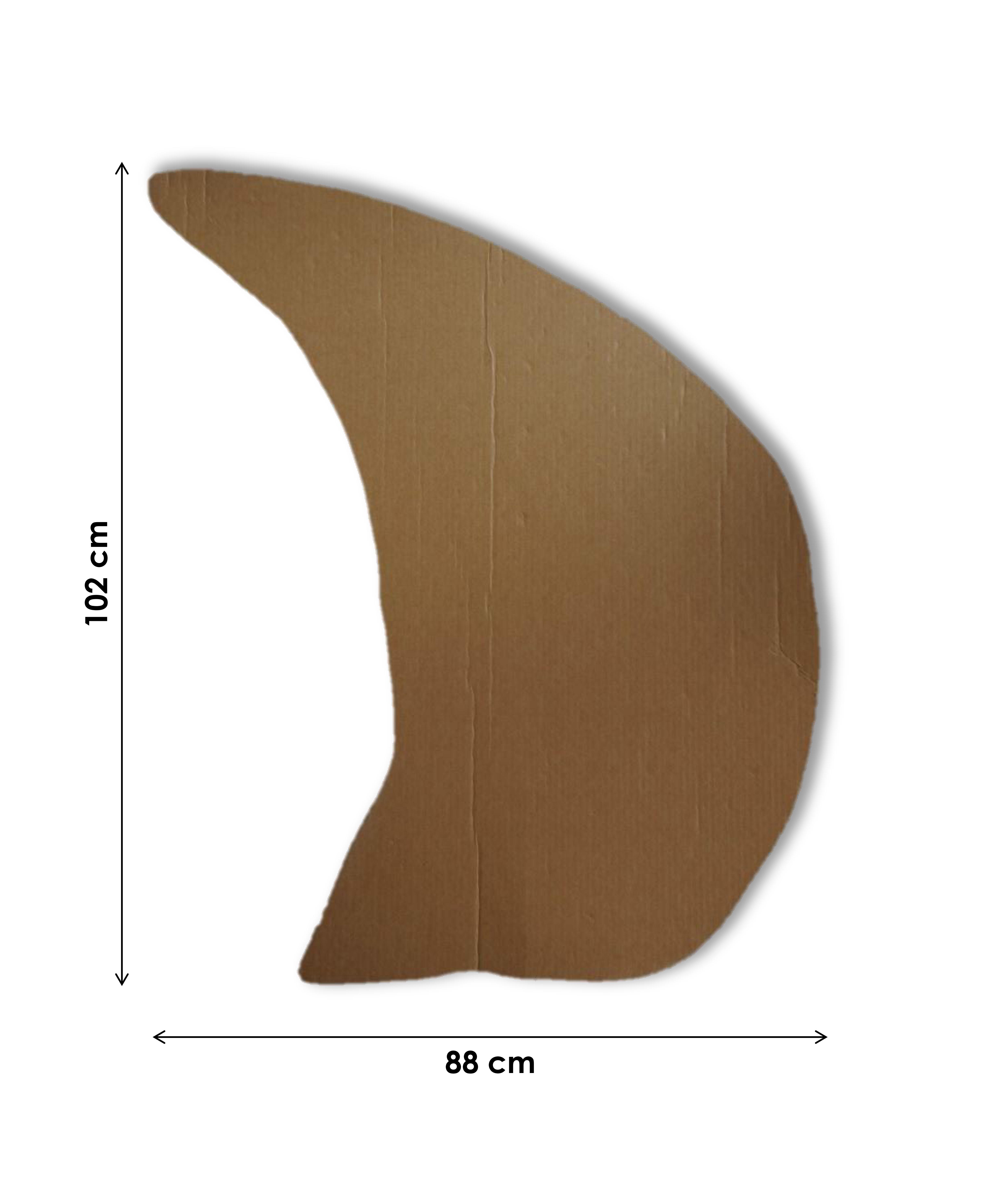dente medidas